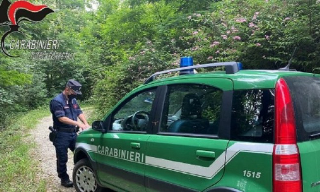 Discarica abusiva e stalla illegale, carabinieri forestali denunciano il proprietario